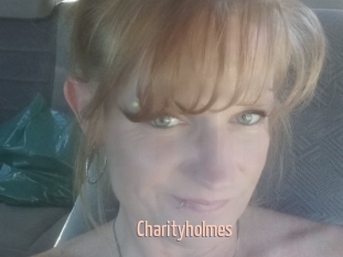 Charityholmes