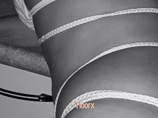 Floorx