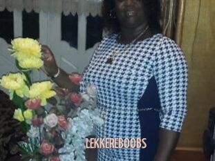 LEKKEREBOOBS