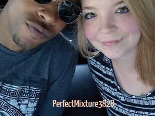 PerfectMixture3828