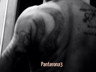 Panterona3