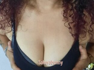 Sakurabunny