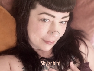 Skylar_bird