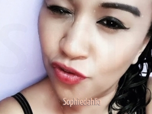 Sophiedahlia