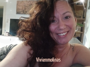 Vivienmolinas