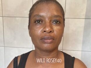 WILD_ROSEY40