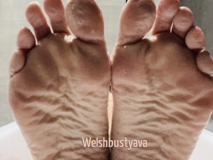 Welshbustyava
